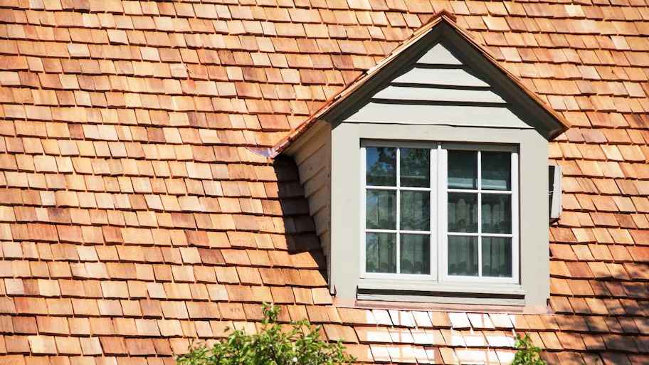 trusted cedar roofing expert in Moline IL
