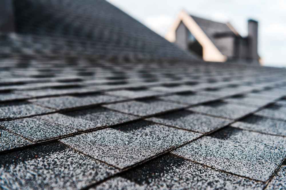 3-tab vs architectural shingles in Moline