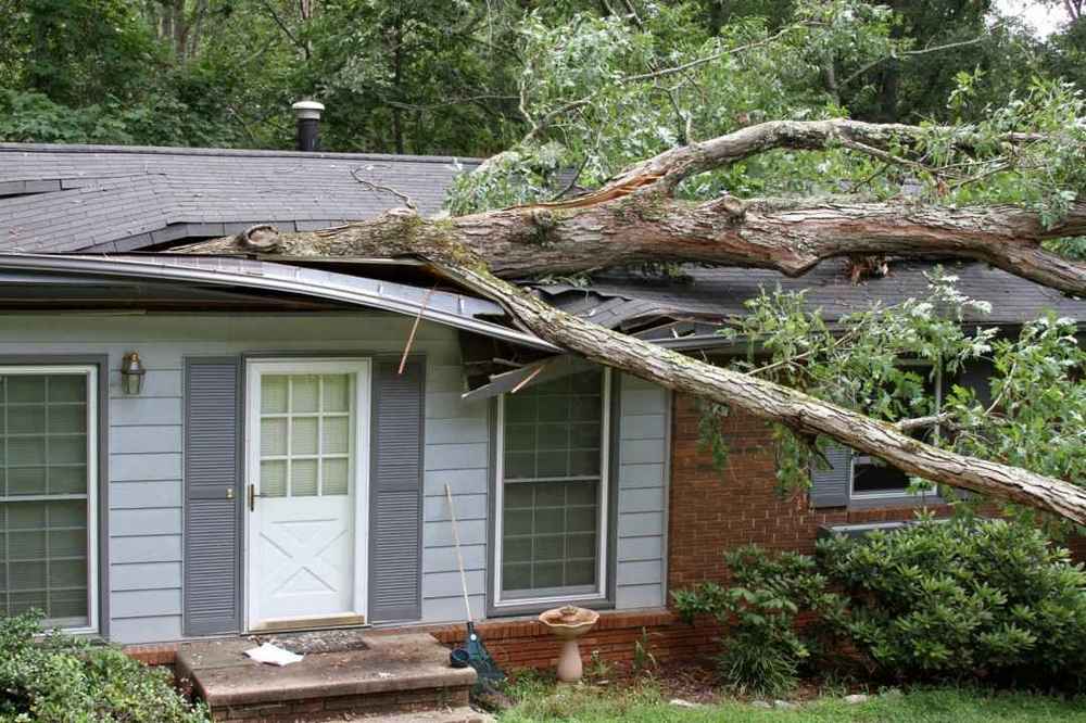 storm damage repair